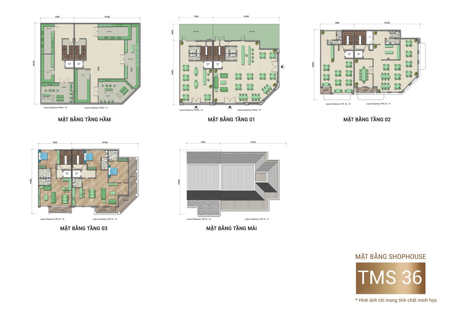 thiết kế shophouse sun group cát bà